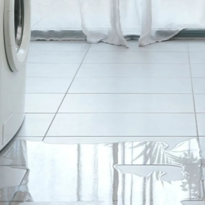 Appliance Leak Cleanup in Roseland, FL